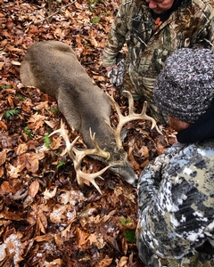 2019 Successful Hunts photo 14