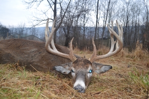 2019 Successful Hunts photo 8