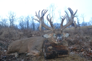 2019 Successful Hunts photo 6