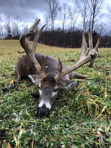 2019 Successful Hunts photo 15