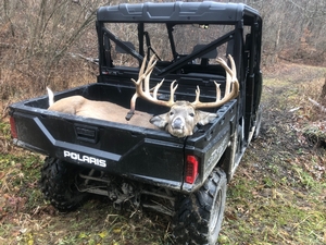 2019 Successful Hunts photo 12